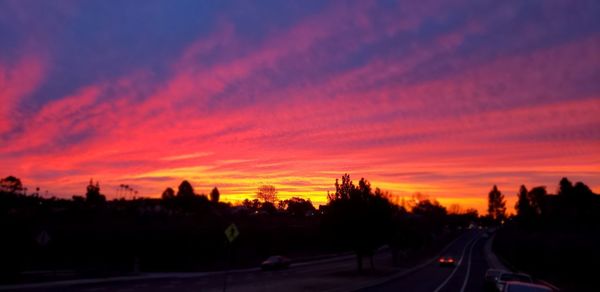 Silhouette trees by road against orange sky