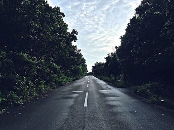 Empty road along trees