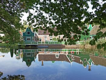 Reflection of trees by swimming pool in lake against buildings