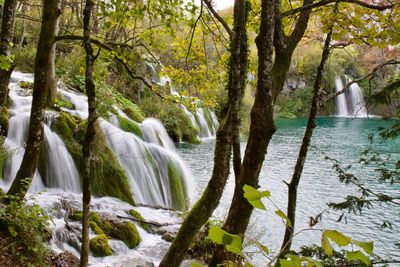 Scenic view of waterfall