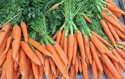 Close-up of carrots