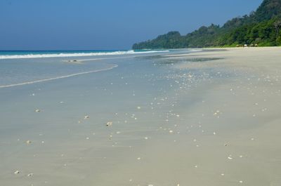 Scenic view of beach against blue sky