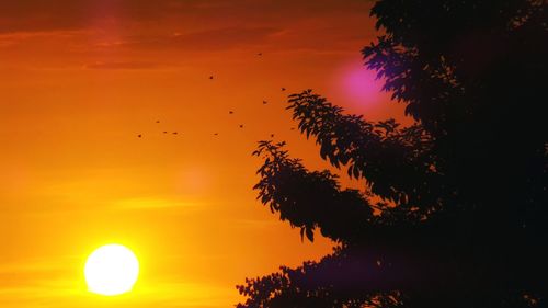 Low angle view of silhouette trees against sky at sunset