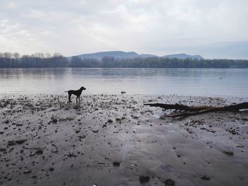 Scenic view of lake against cloudy sky