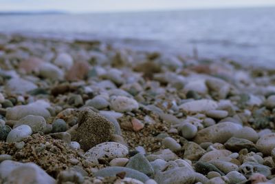 Surface level of rocks on beach