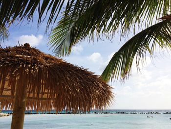 Palm trees on beach against sky