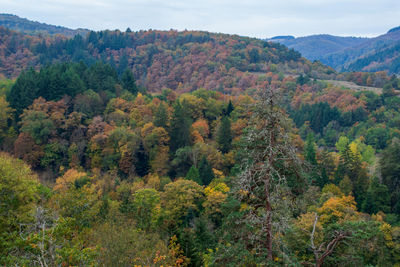 High angle view of trees and mountains during autumn