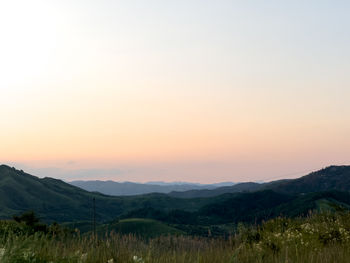 environment