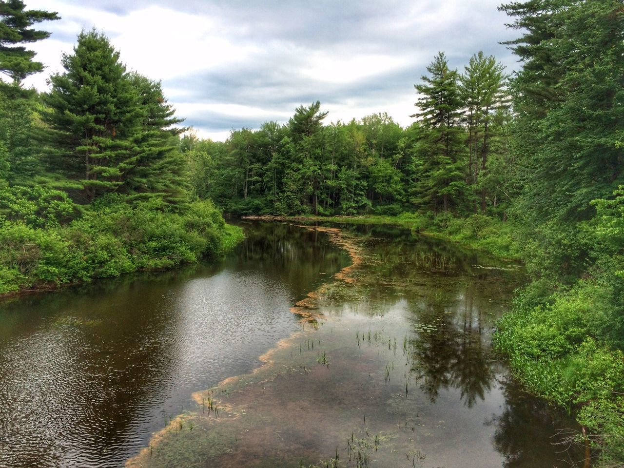 tree, water, tranquility, reflection, tranquil scene, scenics, lake, sky, beauty in nature, nature, green color, forest, growth, cloud - sky, idyllic, waterfront, river, cloud, non-urban scene, lush foliage