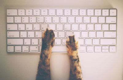 Close-up of hand using mobile phone