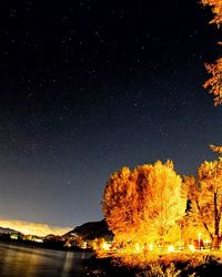 Illuminated trees against sky at night