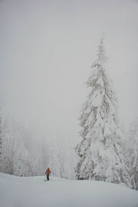 Girl skiing on snow covered landscape