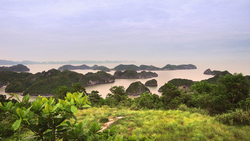 Scenic view of landscape and mountains against sky