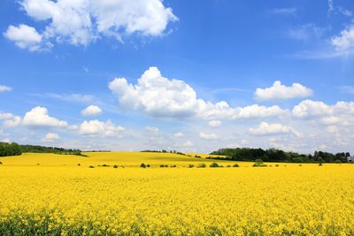 Scenic view of field against cloudy sky