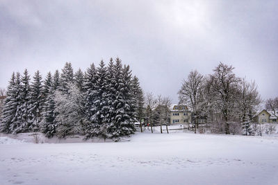 Trees on snow covered field against sky