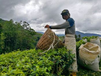 Man working in basket against sky