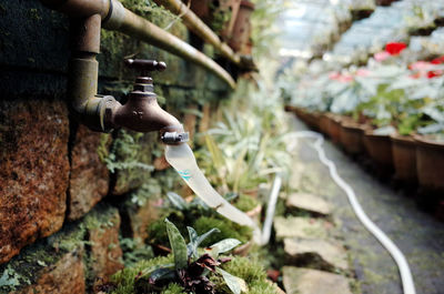 Close-up of water flowing from pipe