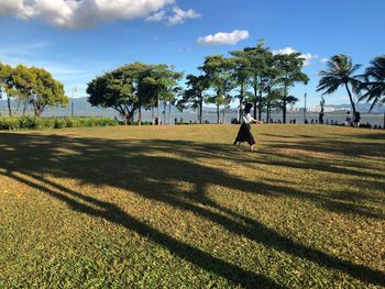 Trees on field against sky