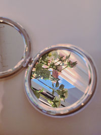 High angle view of potted plant on table