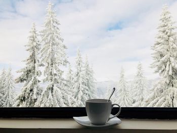 Cup with spoon placed on plate near a window through which you can see forest of evergreen trees