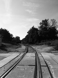 Surface level of railway tracks along trees
