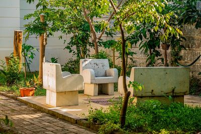 Potted plants in yard