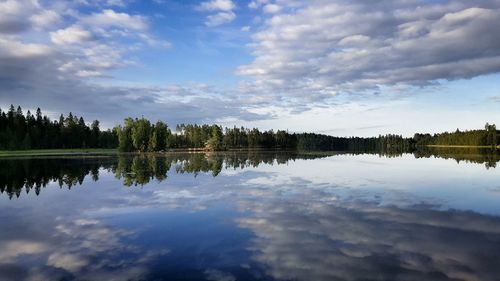 Reflection of trees in calm lake