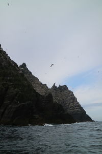 Bird flying over sea against sky