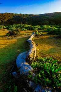 Scenic view of land against sky