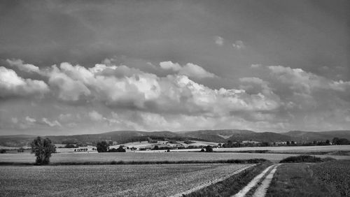 Scenic view of agricultural field against sky