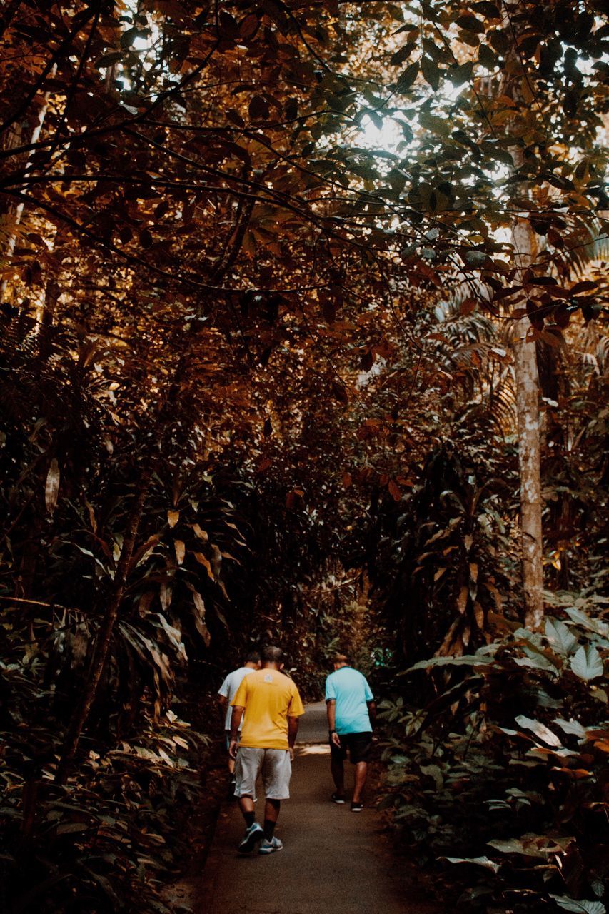 rear view, tree, real people, walking, togetherness, two people, men, senior adult, senior women, full length, growth, leisure activity, women, the way forward, lifestyles, nature, day, outdoors, bonding, adult, people