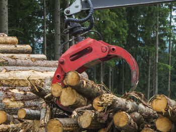 Gripper at the edge of the logging in bavaria when loading tree trunks sawn to length.