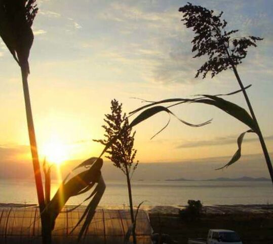 SCENIC VIEW OF SUNSET OVER SEA