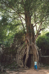 Rear view of woman walking towards old ruin temple