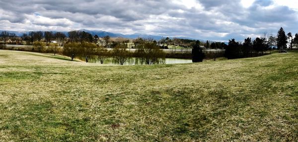 Scenic view of field against sky