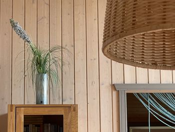 Potted plant on table against wall at home