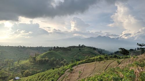 Panoramic view of agricultural field against sky