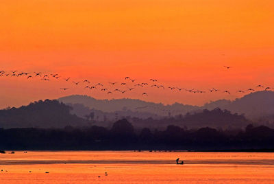 Flock of birds flying above lake against sky