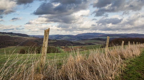 Scenic view of field against sky