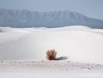 Scenic view of desert against clear sky