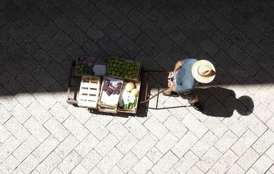 High angle view of man pulling a cart on street