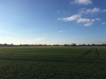 Scenic view of field against sky