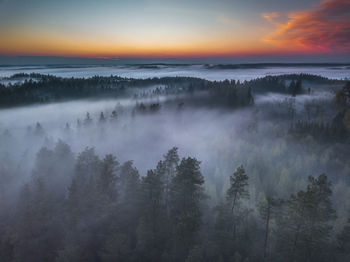 Scenic view of trees against sky during sunset