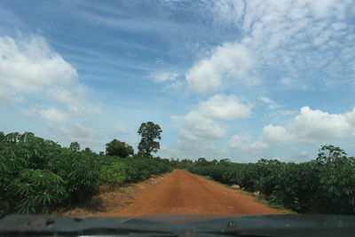 Road amidst trees against sky seen through car windshield