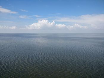 Water logged white desert at dhordo in rann of kutch