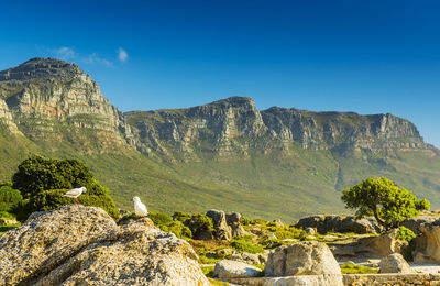 Scenic view of mountains against clear blue sky