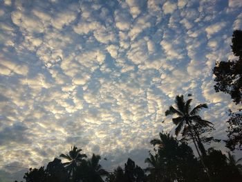 Low angle view of silhouette trees against sky
