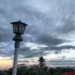 Low angle view of palm trees against sky