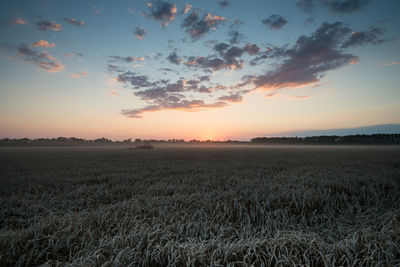 Scenic view of field against sky at sunset
