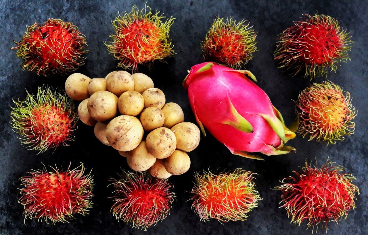 HIGH ANGLE VIEW OF VARIOUS FRUITS IN CONTAINER